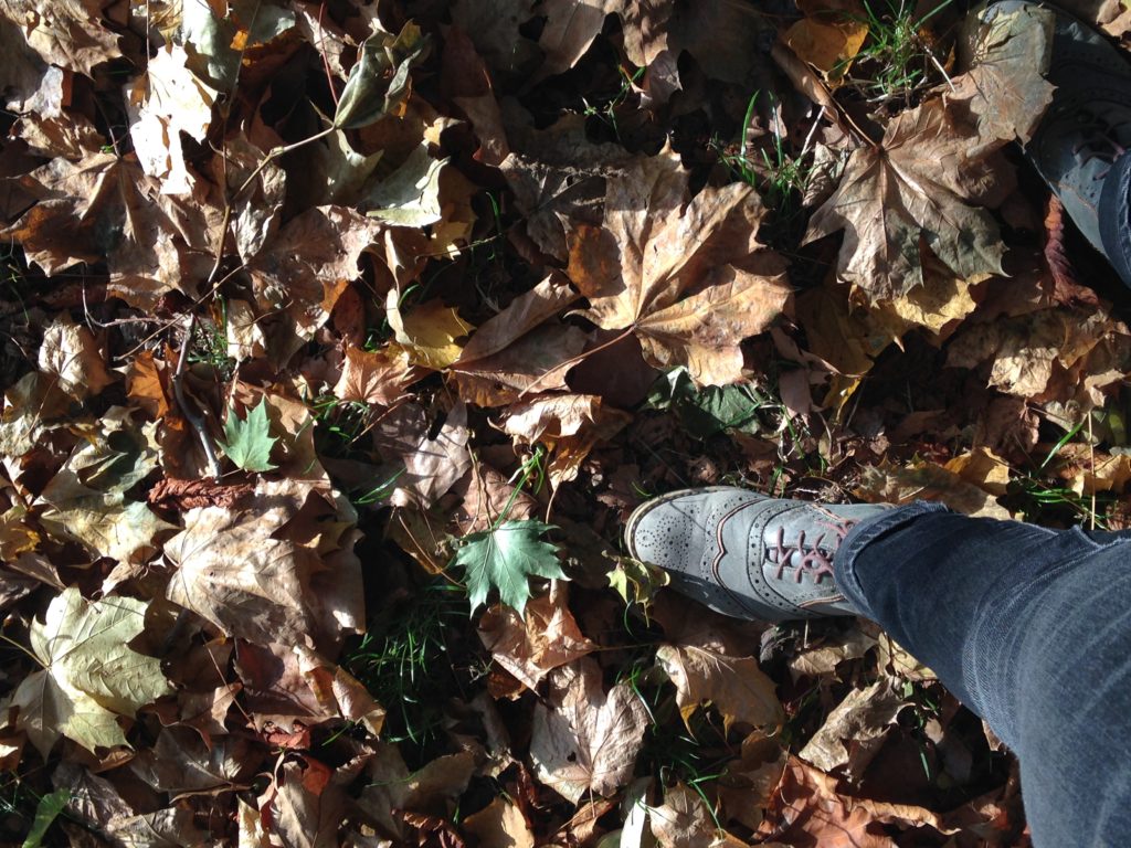 foot-in-park